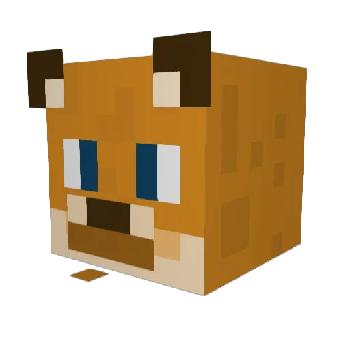 Bigbossnils Minecraft avatar head, 3D render