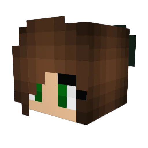 Bigboyfoo10 Minecraft avatar head, 3D render