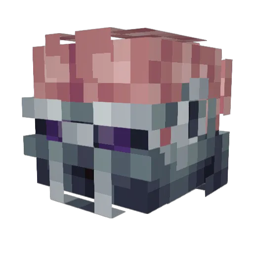 Bigbraine Minecraft avatar head, 3D render