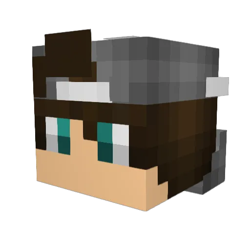Bigbrayden07 Minecraft avatar head, 3D render