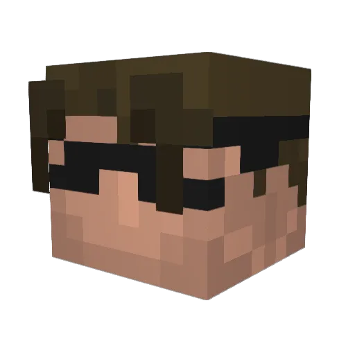 Bigcatsun Minecraft avatar head, 3D render