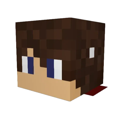 Bigdaddy666 Minecraft avatar head, 3D render