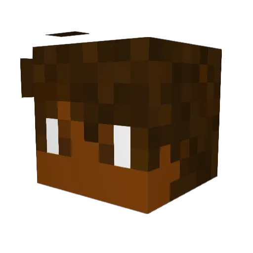Bigdog81 Minecraft avatar head, 3D render