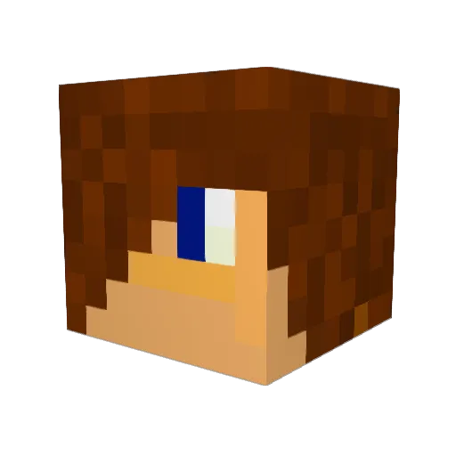 Bigface2582 Minecraft avatar head, 3D render