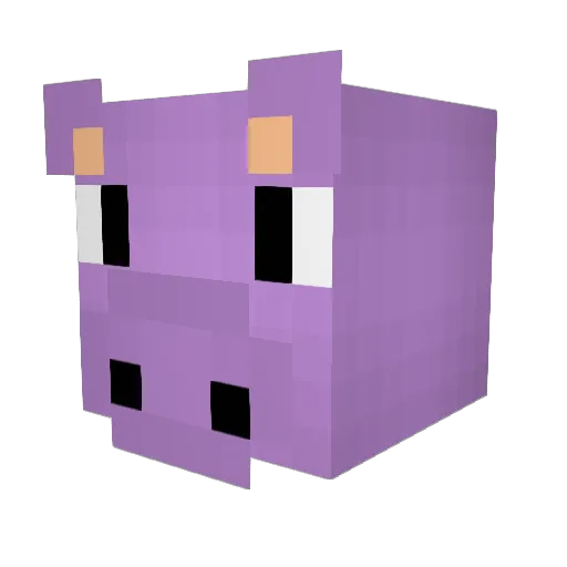 Bigfatnugget1 Minecraft avatar head, 3D render