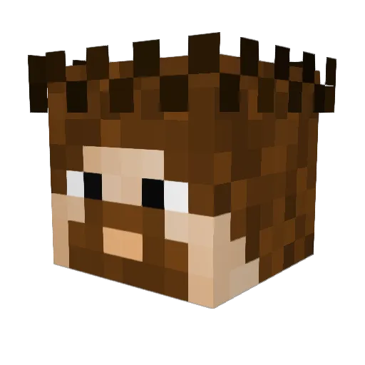 BigfatpicklesDK Minecraft avatar head, 3D render