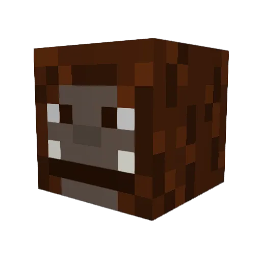 Bigfoootgaming Minecraft avatar head, 3D render
