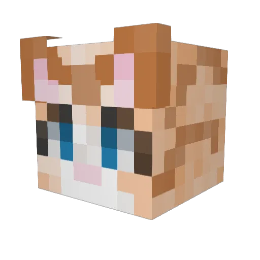 BiggPapi1 Minecraft avatar head, 3D render