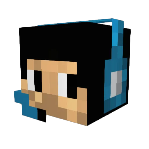 BiggerBag Minecraft avatar head, 3D render