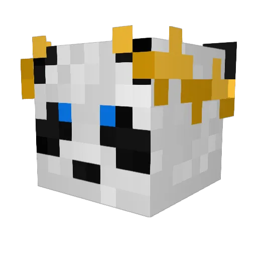 BiggestConqueror Minecraft avatar head, 3D render