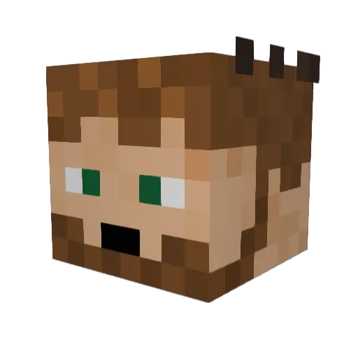 BiggestJet Minecraft avatar head, 3D render