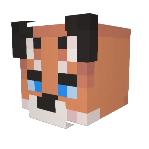 Biggest_Munch Minecraft avatar head, 3D render