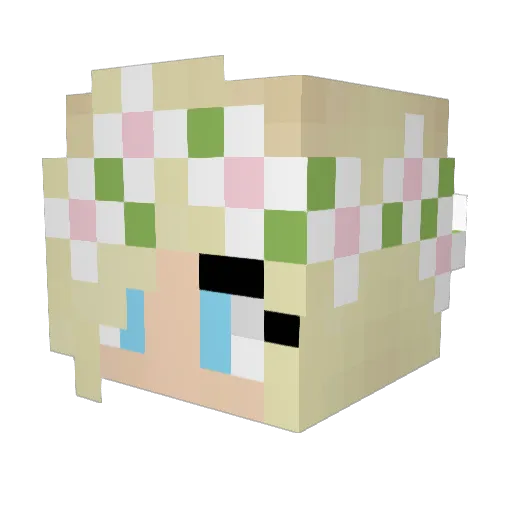 Biggest_NiBBa Minecraft avatar head, 3D render