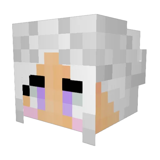 Bigginia Minecraft avatar head, 3D render