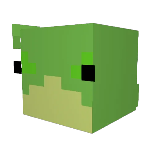 BiggrBoot Minecraft avatar head, 3D render