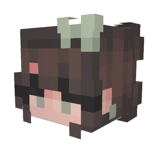 Biggrass9570 Minecraft avatar head, 3D render