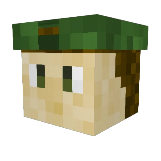 Bigheadpoter Minecraft avatar head, 3D render