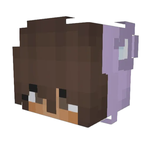 Bigheide Minecraft avatar head, 3D render