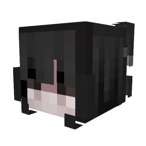 BightTussy Minecraft avatar head, 3D render