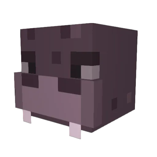 Bigimot66 Minecraft avatar head, 3D render