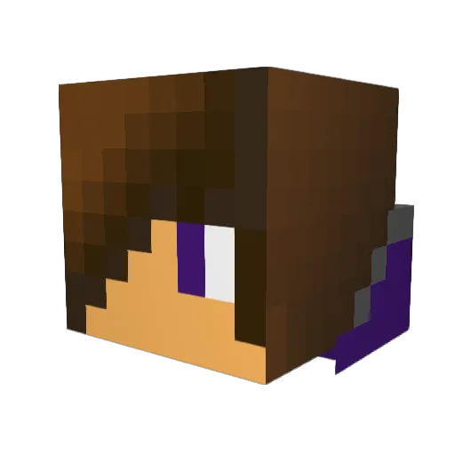 Bigjon9 Minecraft avatar head, 3D render