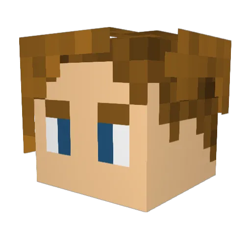 Bigmac7151998 Minecraft avatar head, 3D render