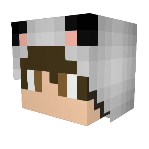 Bigmamma6969 Minecraft avatar head, 3D render