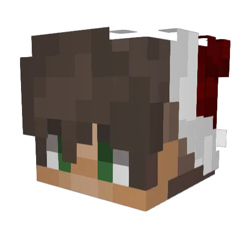 Bignah Minecraft avatar head, 3D render