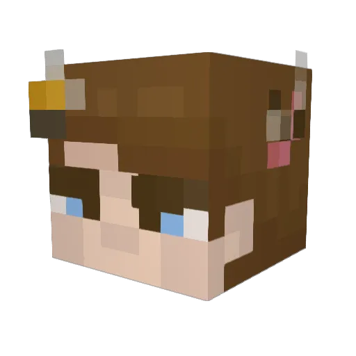 Bigorneau Minecraft avatar head, 3D render