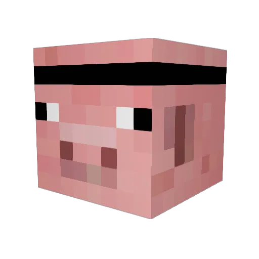 Bigt993 Minecraft avatar head, 3D render