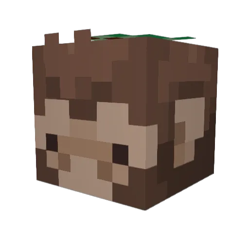 Bigtastybacon47 Minecraft avatar head, 3D render