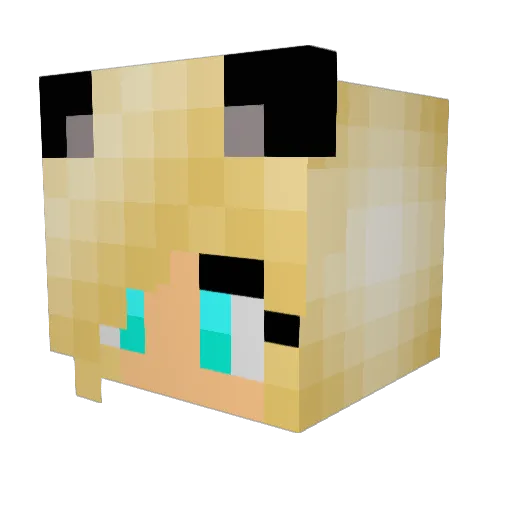 Biiancaa_ Minecraft avatar head, 3D render