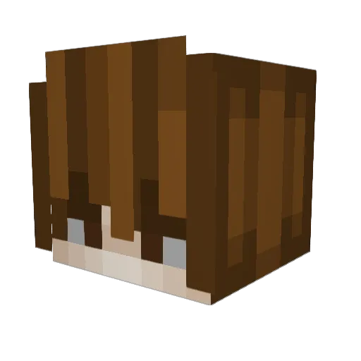 Biib_Minecraft Minecraft avatar head, 3D render
