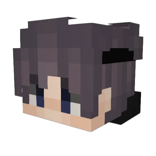 Biielkado Minecraft avatar head, 3D render