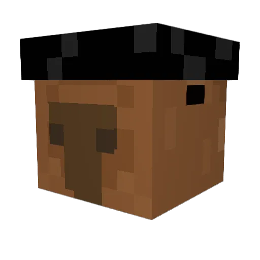 BiigNelson Minecraft avatar head, 3D render
