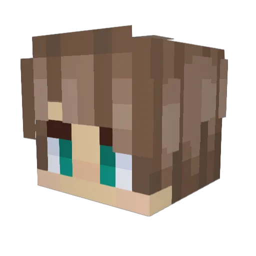 Biirdie Minecraft avatar head, 3D render