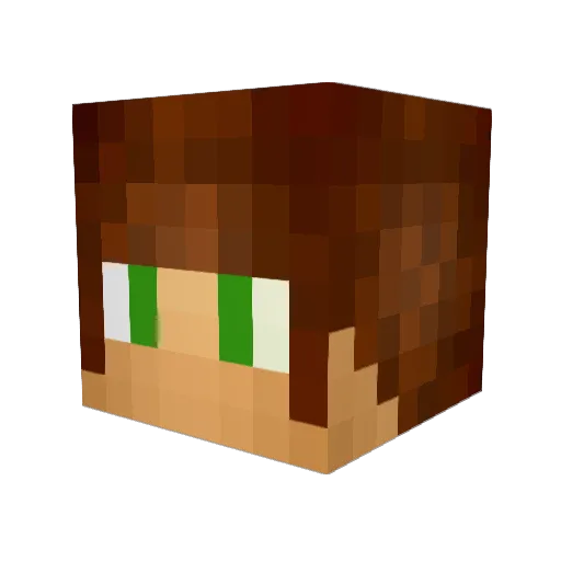 Bijy Minecraft avatar head, 3D render