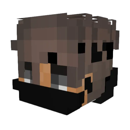BikePii Minecraft avatar head, 3D render