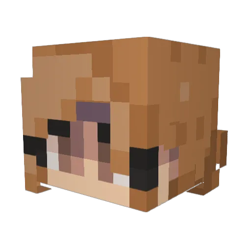BikerCatBoi Minecraft avatar head, 3D render