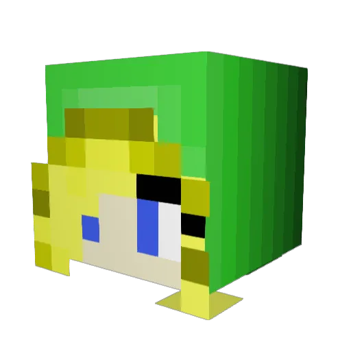 BikerKat Minecraft avatar head, 3D render