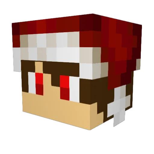 BikersGamming Minecraft avatar head, 3D render