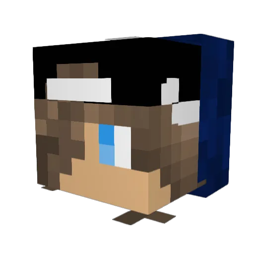 Bikin1Bottom Minecraft avatar head, 3D render