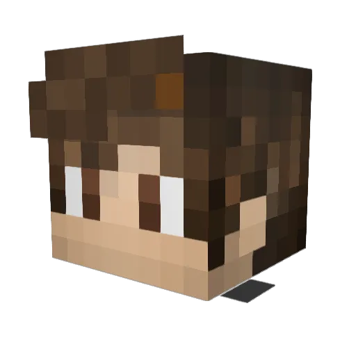 BikoMk7out Minecraft avatar head, 3D render