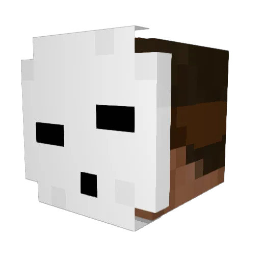 Biks_stars Minecraft avatar head, 3D render
