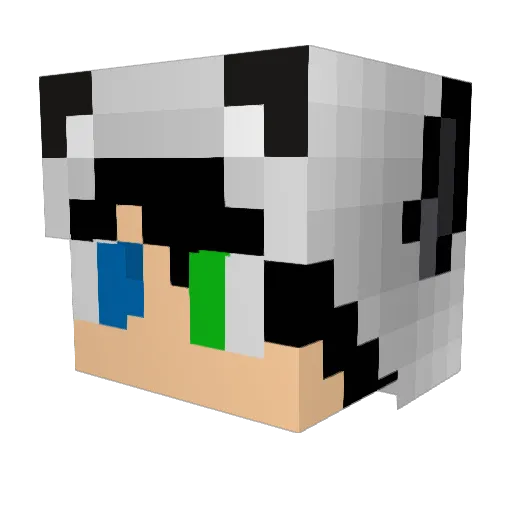 Bikyp Minecraft avatar head, 3D render