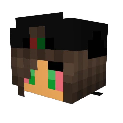 Bilard99 Minecraft avatar head, 3D render