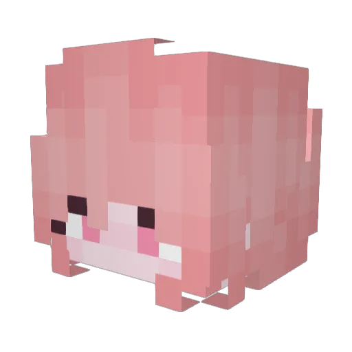 Bilberry0 Minecraft avatar head, 3D render