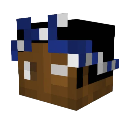 Bilbo_Baggins513 Minecraft avatar head, 3D render