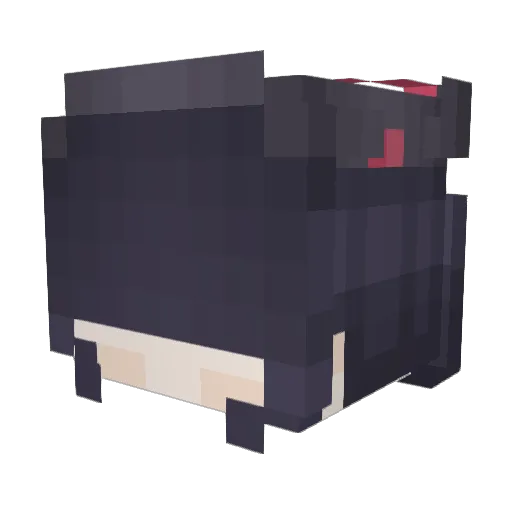 Bilbo_the_Cat Minecraft avatar head, 3D render
