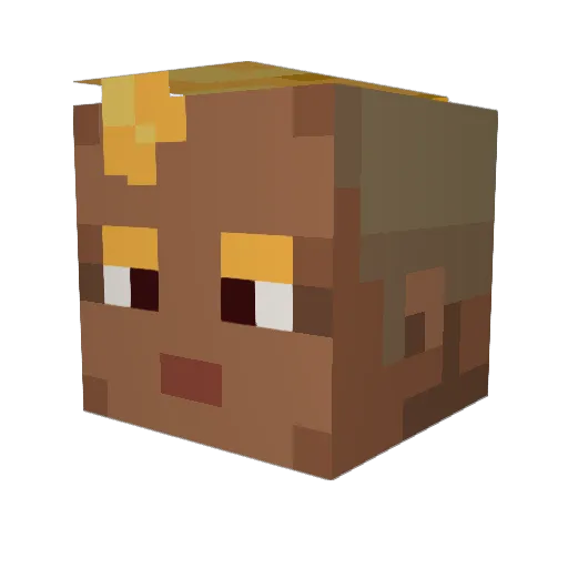 Bilbon86 Minecraft avatar head, 3D render